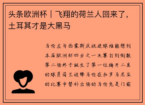 头条欧洲杯｜飞翔的荷兰人回来了，土耳其才是大黑马